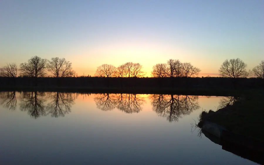 Stunning wallpaper of the reflection of trees in the water of the lake at sunset