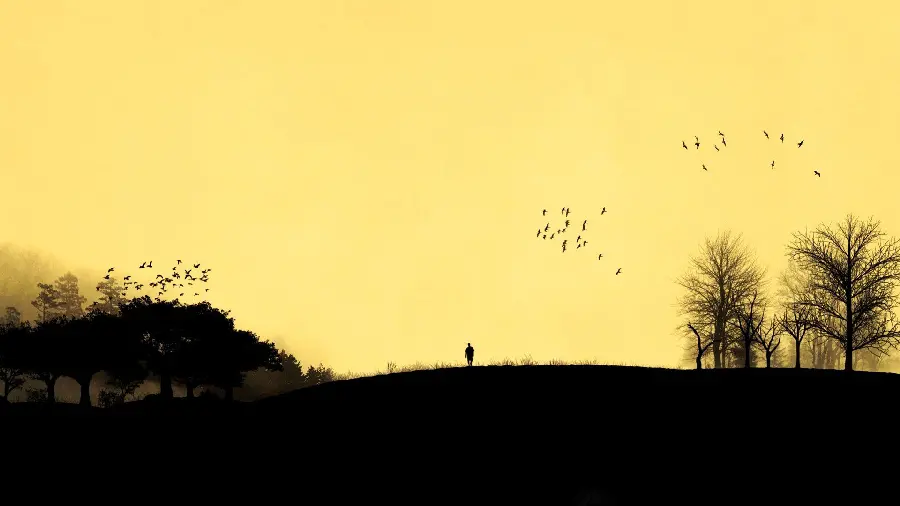 Stylish and modern profile picture of a lonely man next to the trees