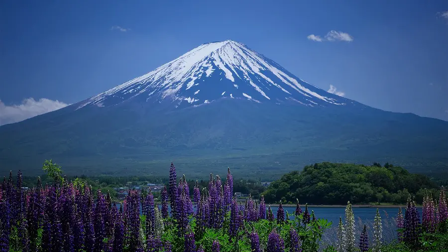 A wonderful and eye-catching photo of Mount Fuji in the Asian country of Japan