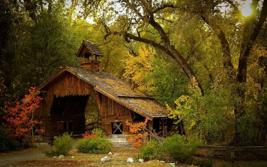 Old Barn Wallpaper Buried Among Grass and Tall Trees