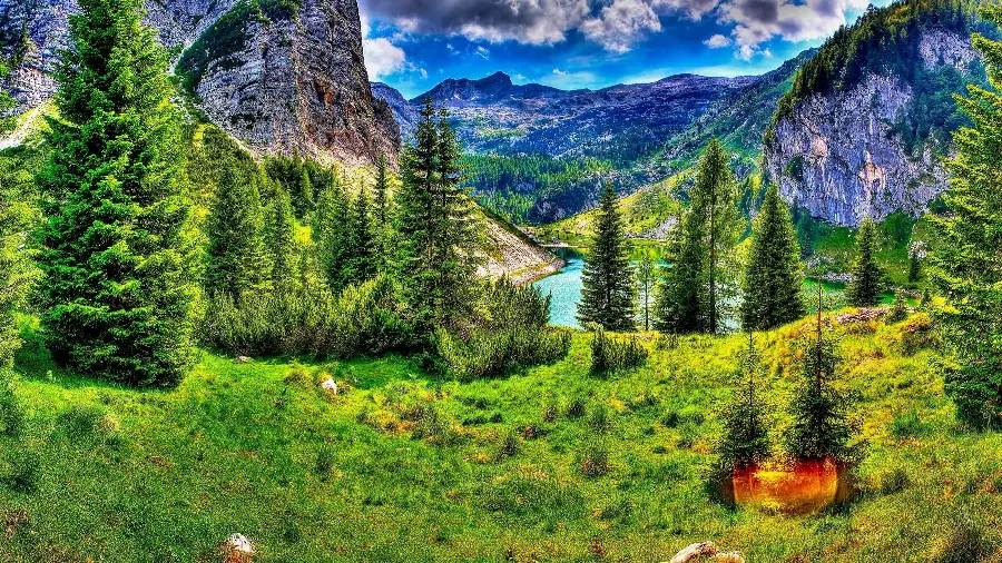 Free download of green and forest nature background images