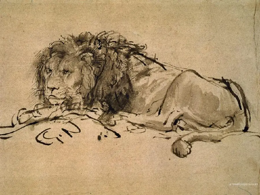 A picture drawn in one color of a lion resting by Rembrandt