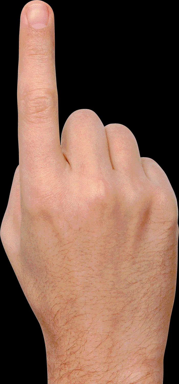 Free download of cropped and backgroundless hand photo in PNG format