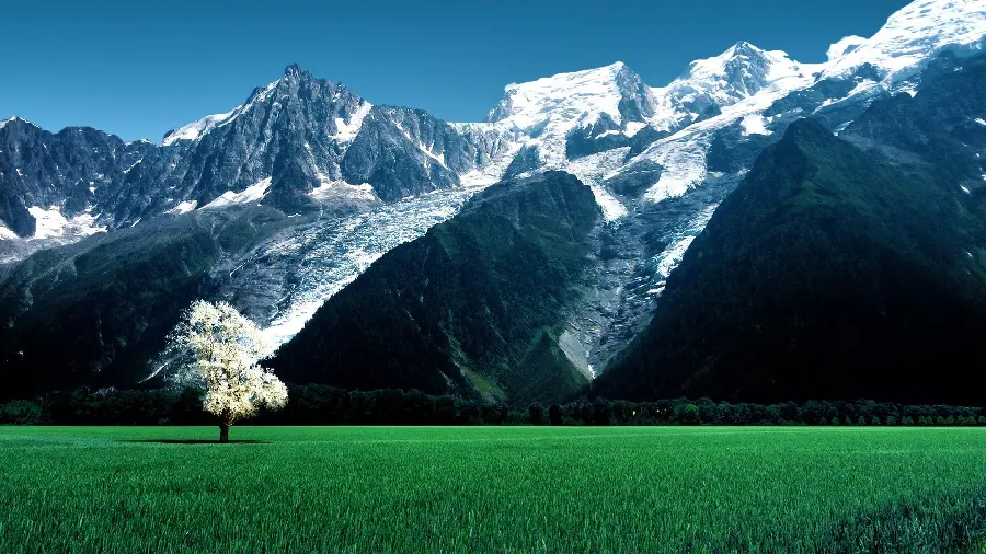 Photo of the Bossons Glacier, an ice river in France