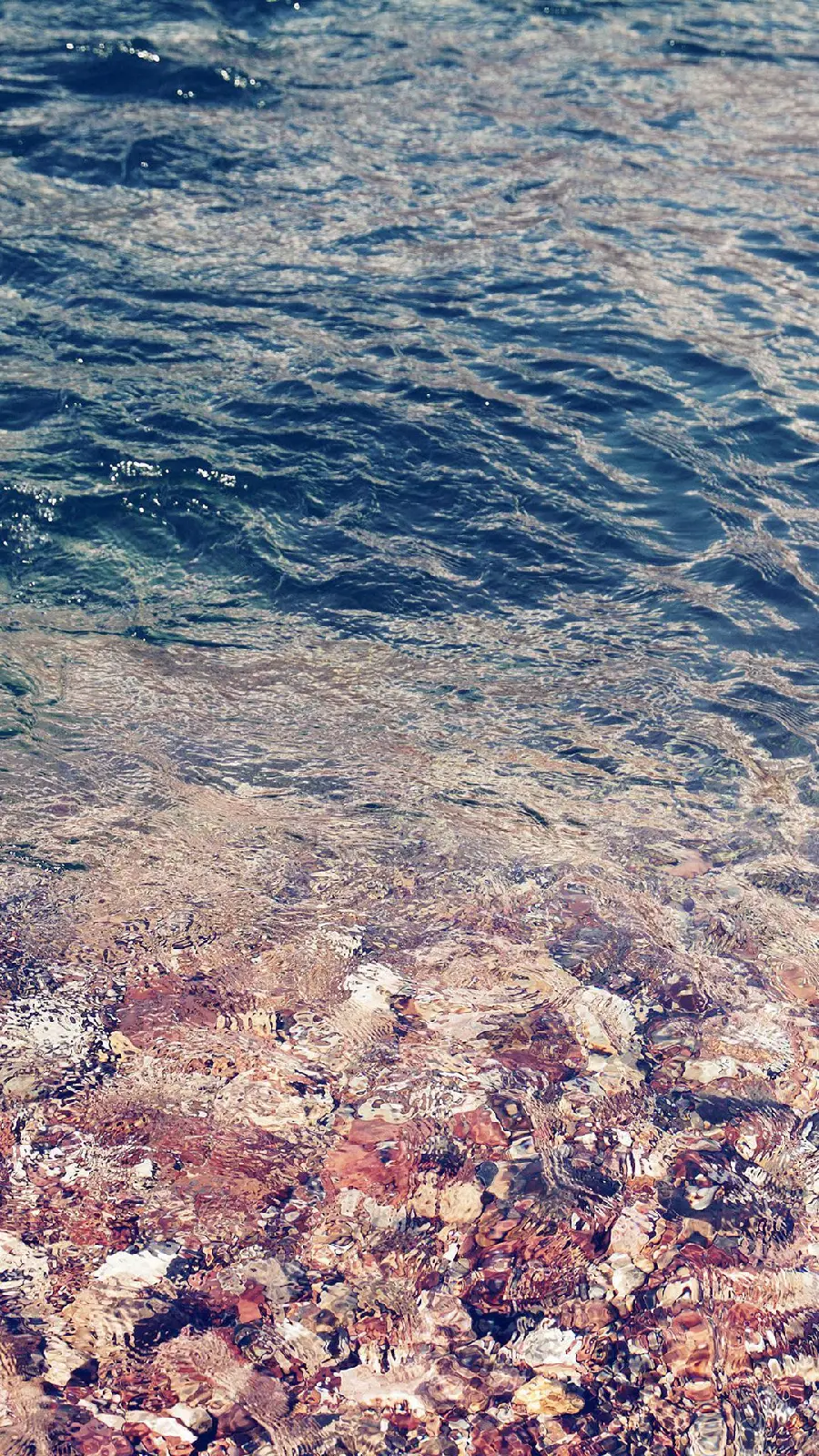 Stylish and special sea water and beach full of shells wallpaper for iPhone 