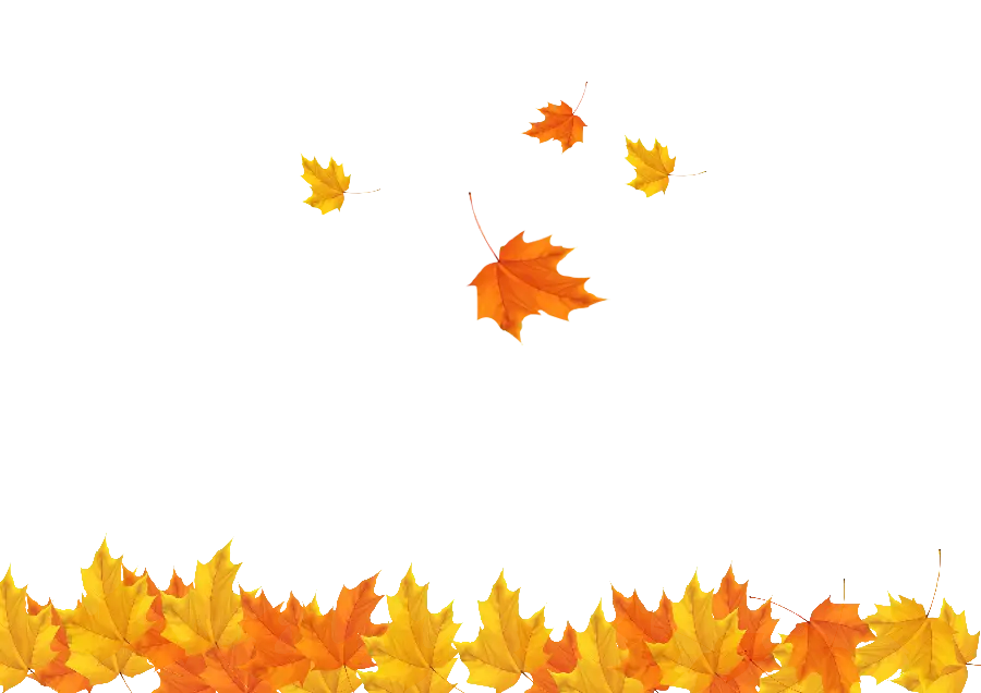 The most downloaded image of a beautiful and stylish autumn frame with a white background 