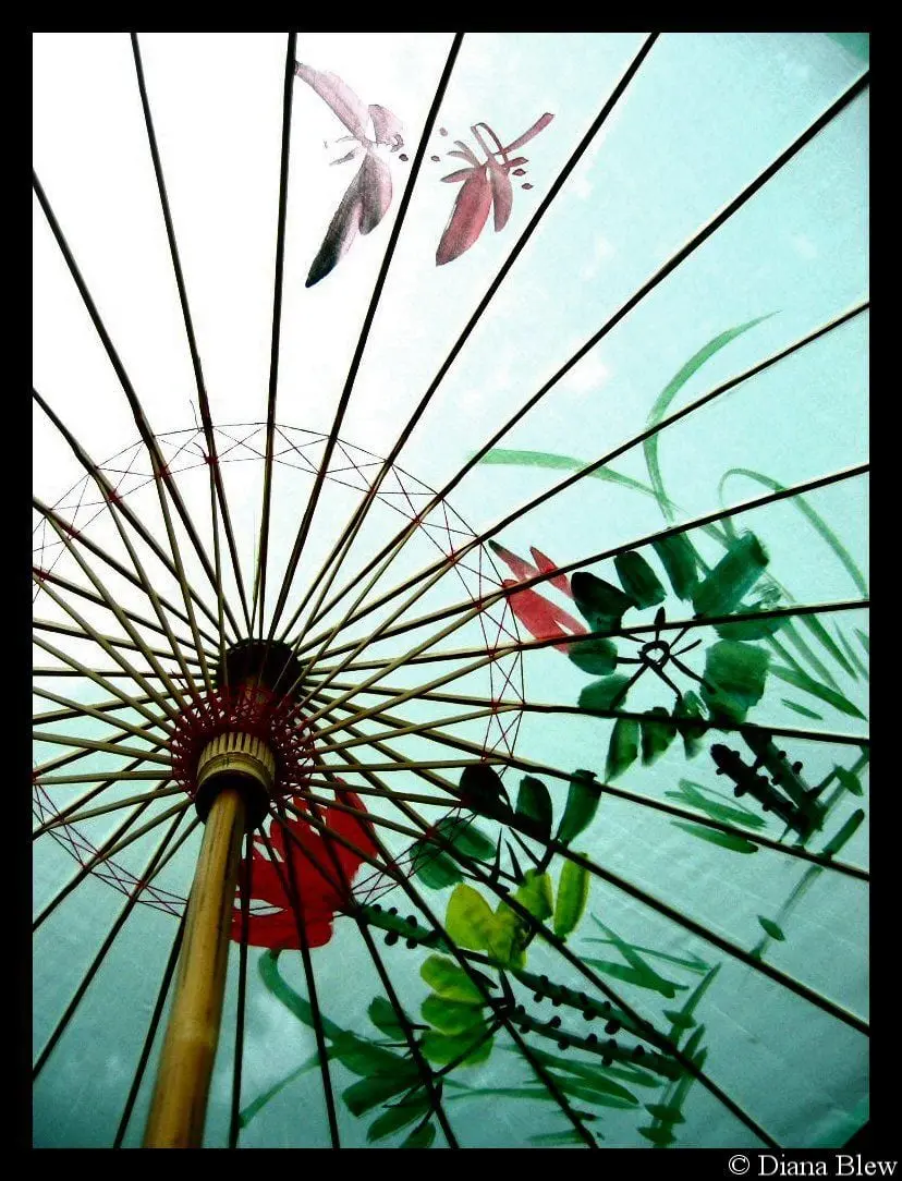 Stock photo of a traditional Japanese umbrella with a design inspired by nature