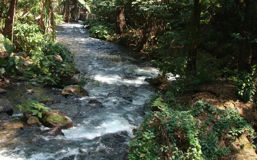 Stock image from Pure and magical nature for desktop backgrounds 
