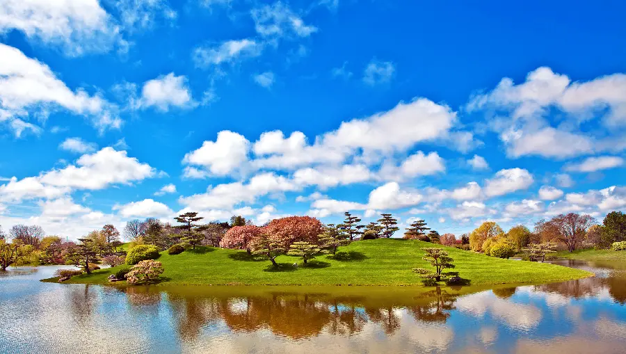Download attractive and captivating nature photos in full HD