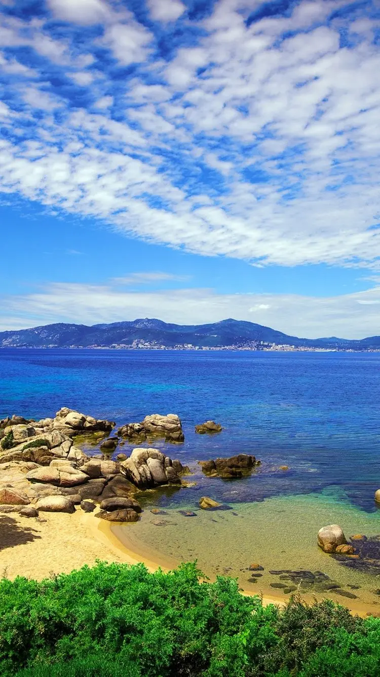 Fresh wallpaper of beautiful green beach grass