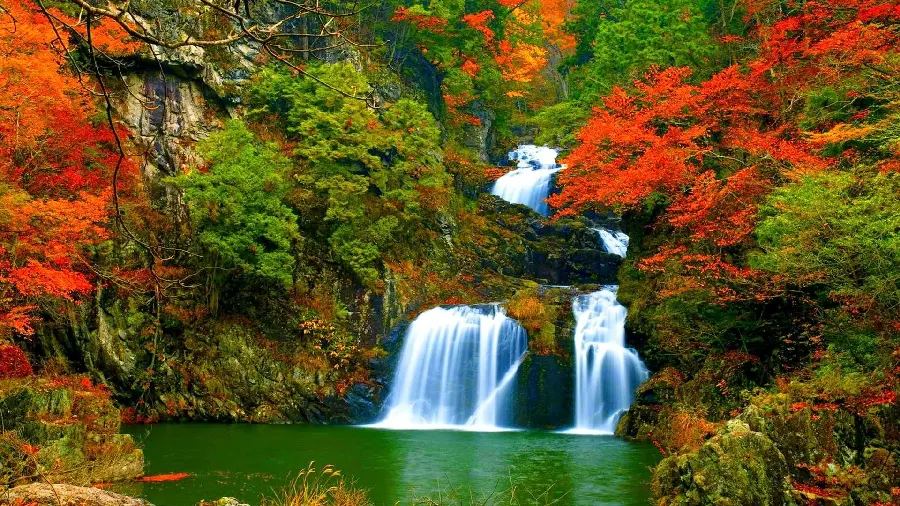 Realistic autumn waterfall landscape wallpaper in dense forest 