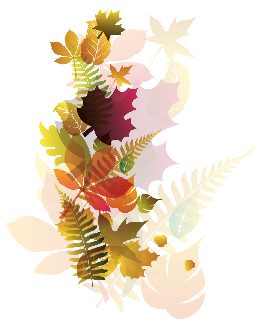 Download autumn leaf images in PNG format and for free 