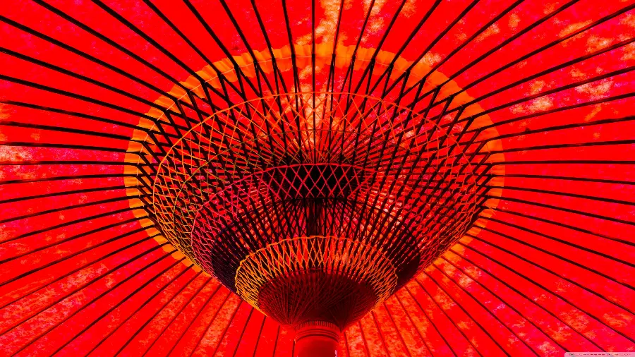 Wallpaper of Japanese umbrellas with wooden frame and body Washi paper
