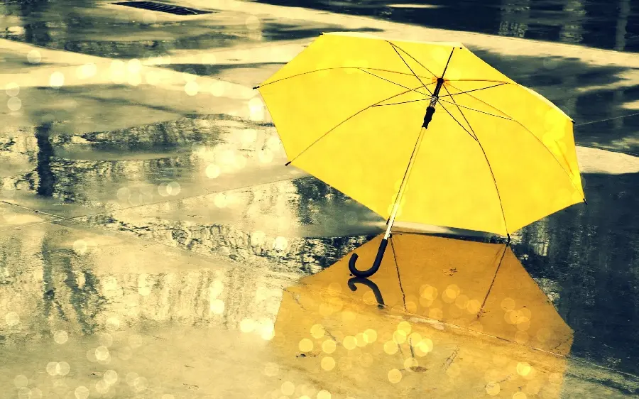 The most beautiful Telegram profile picture, beautiful and beautiful yellow umbrella design 