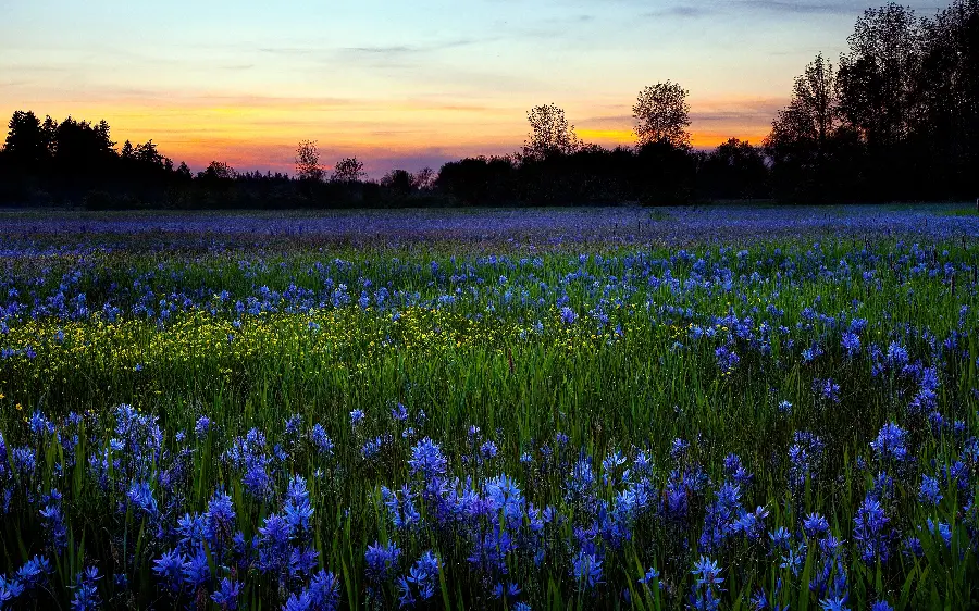 A spectacular and attractive image of the best tourist area in the world with high quality 