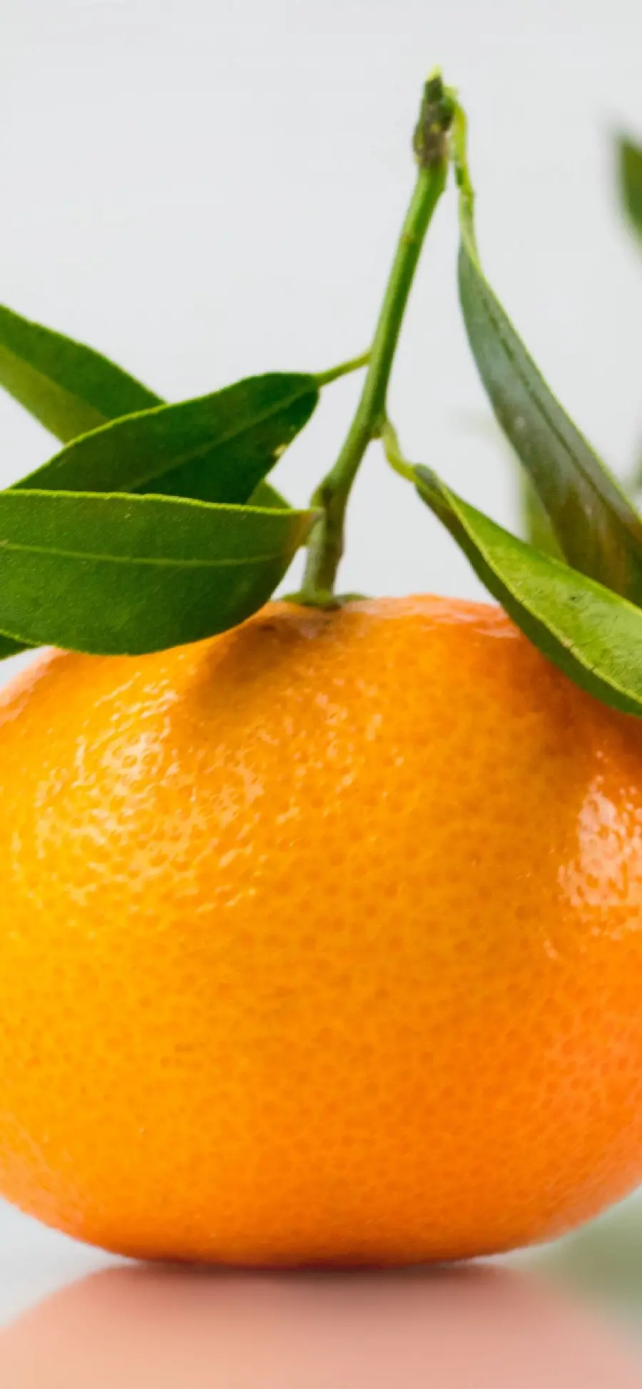 Tangerine