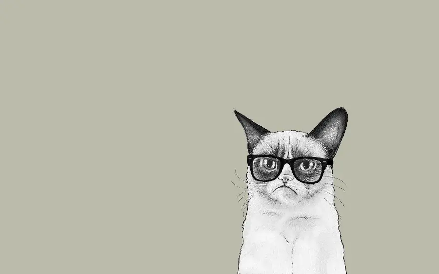 Beautiful minimalist white cat photo for printing on a personal mug