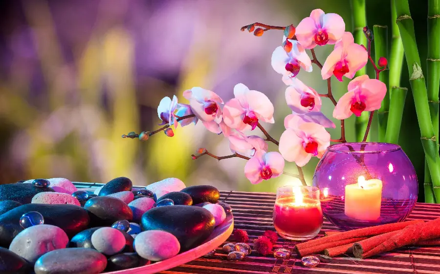 High quality background of stones and apartment orchids