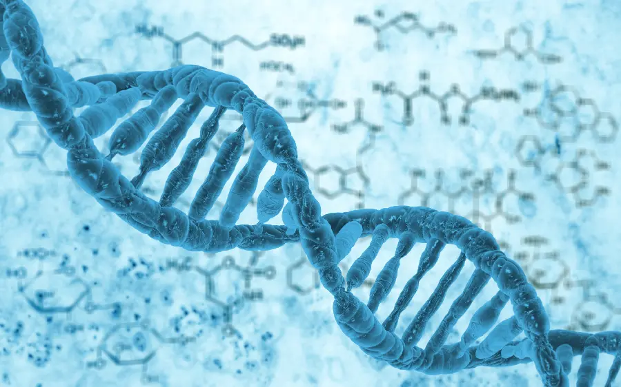 High-quality photo of a close-up of chromosomes for scientific studies