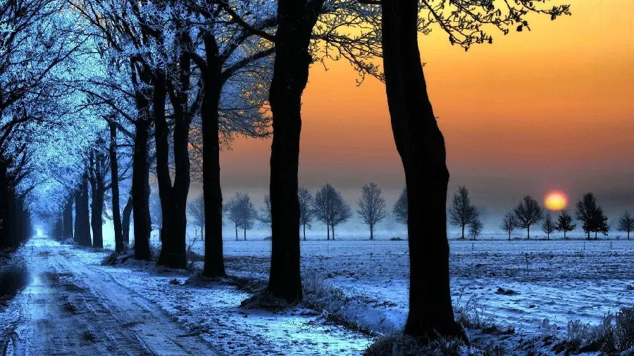Unique nature wallpaper with snowy landscape 