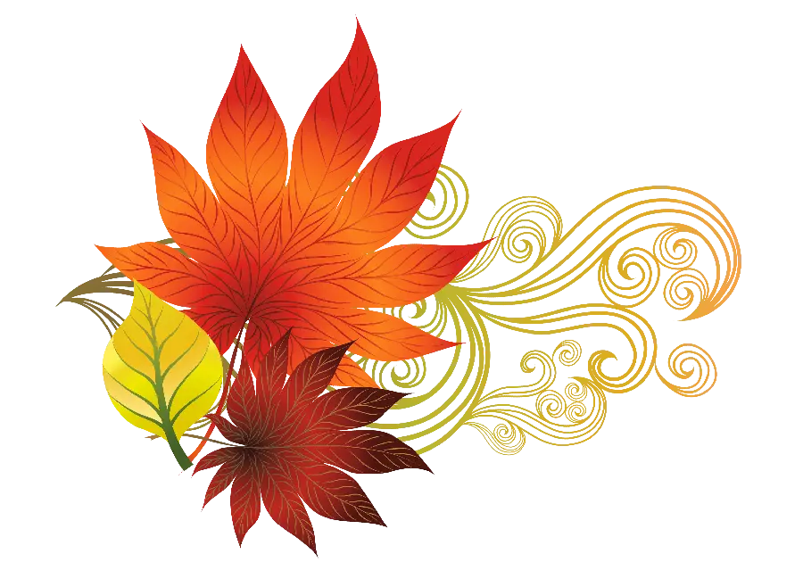 Download the cutout image of autumn tree leaves in PNG format