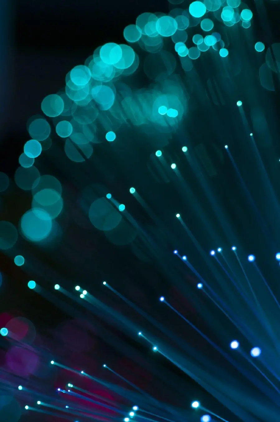 High Quality Photo of Thin and Thin Fiber Optic Strands of Wireless Network and Wi-Fi