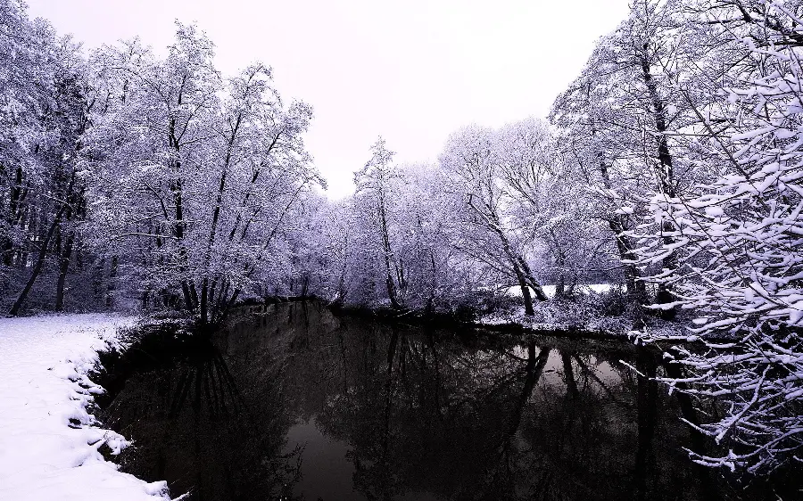 Download the incredibly beautiful snowy and winter nature background 