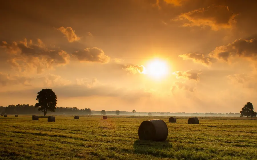 The Latest Stylish and Special Sunset Scenery Background with the Highest Quality