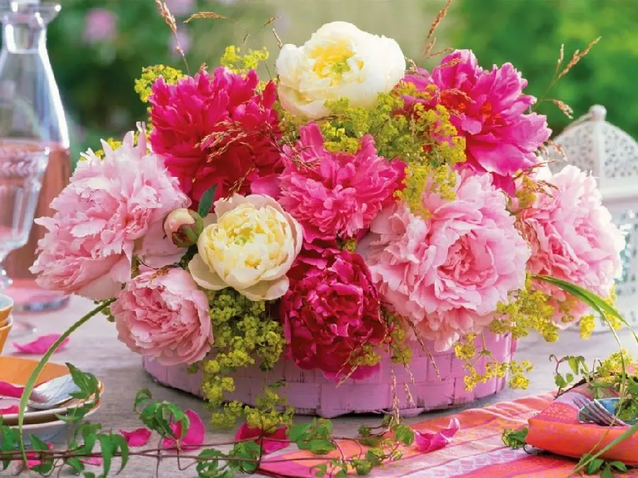 Download beautiful bouquet background Pink and white high quality 