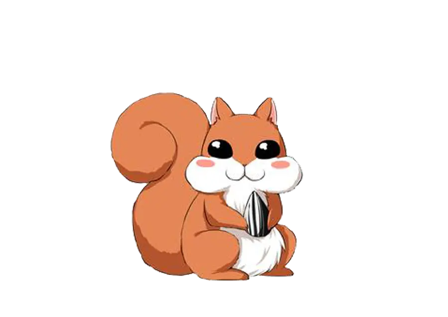 Download transparent squirrel PNG image without background 