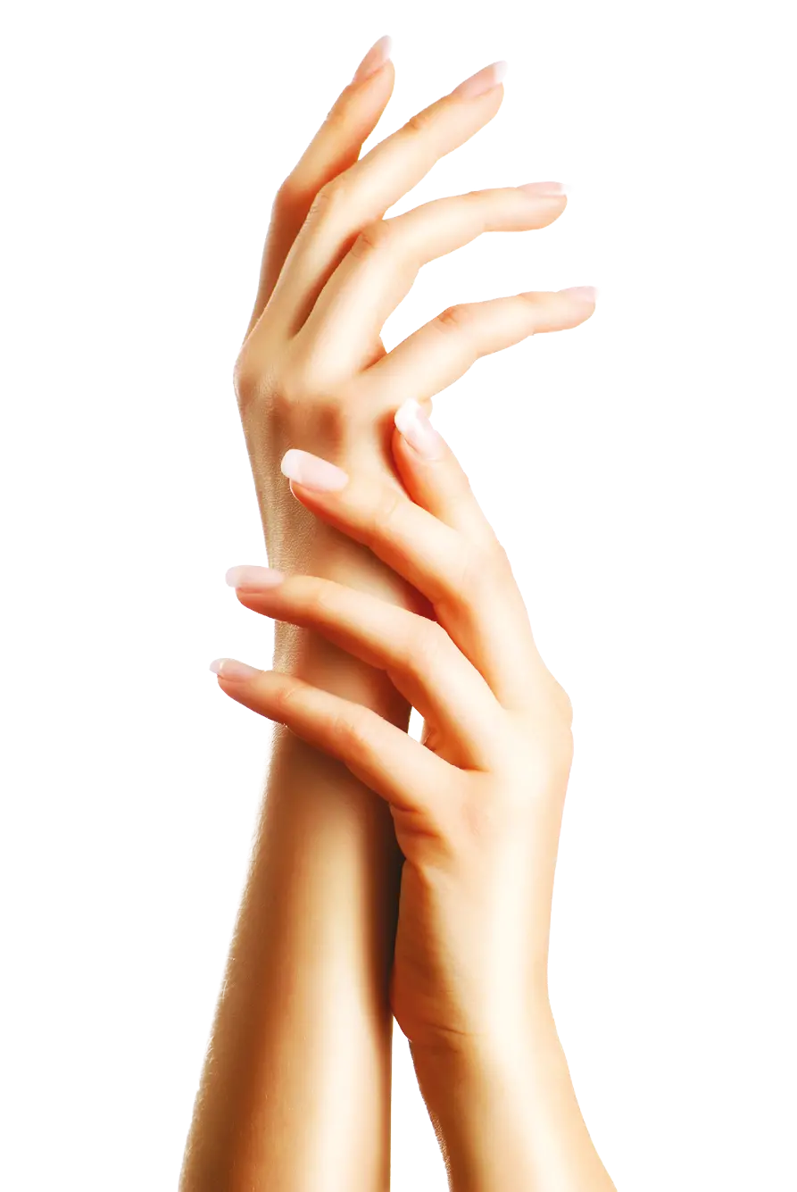 Photo of smooth and delicate female hands with long nails in PNG format