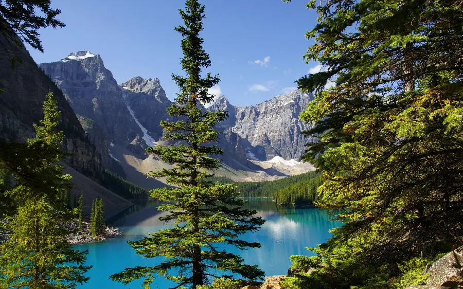 Photo of the landscape of Moraine Lake located in the nature of Canada