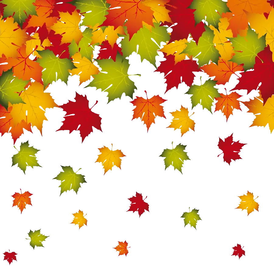 The most beautiful PNG image of a colorful autumn leaf design text box