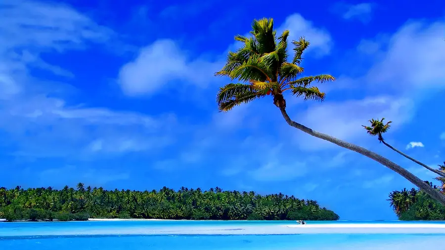 A unique background image for a laptop of nature and a view of the blue sky