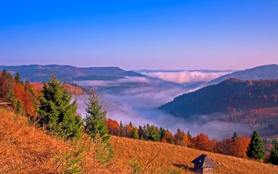 Very beautiful photo of autumn in lovely nature