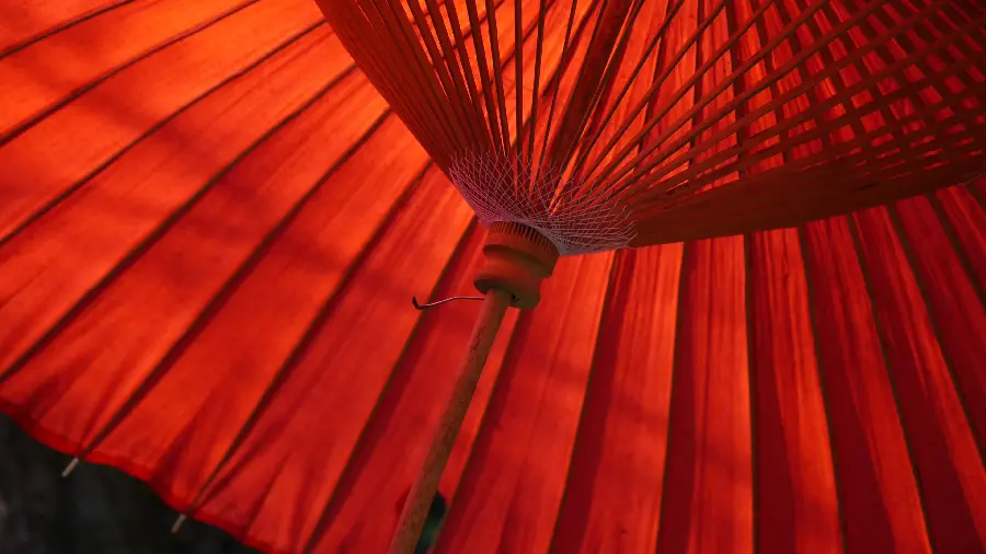 Photo taken of red Japanese umbrella for profile 
