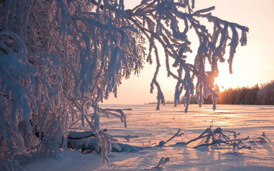 Simple stock photo of snow and winter for printing with the highest quality