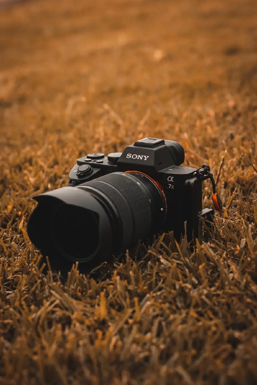 Sony Alpha a7 Mirrorless Camera Wallpaper with 4K Video Recording at 24fps