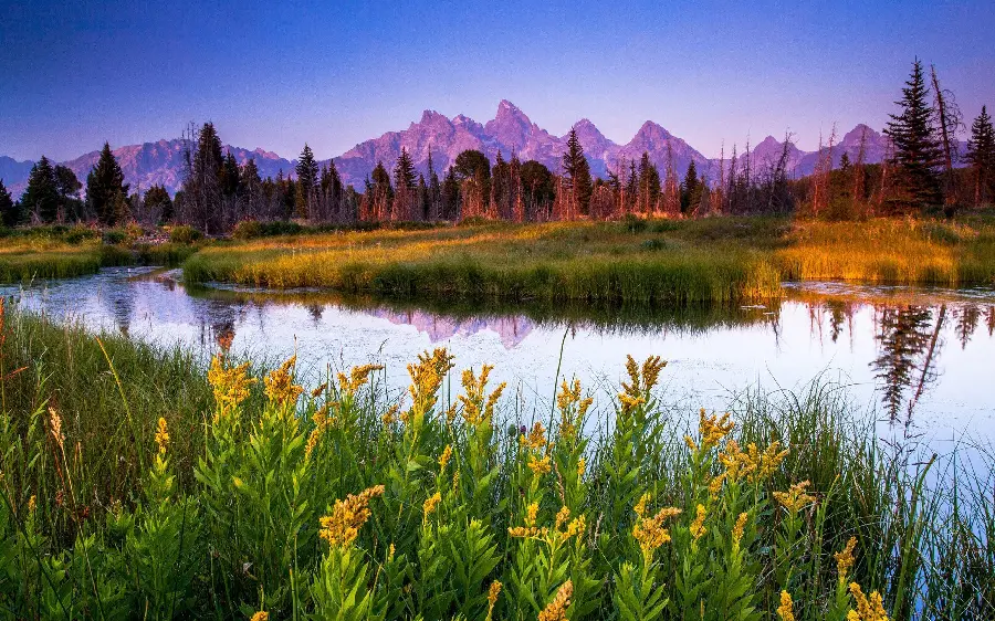 Photo taken of nature with a fantastic view