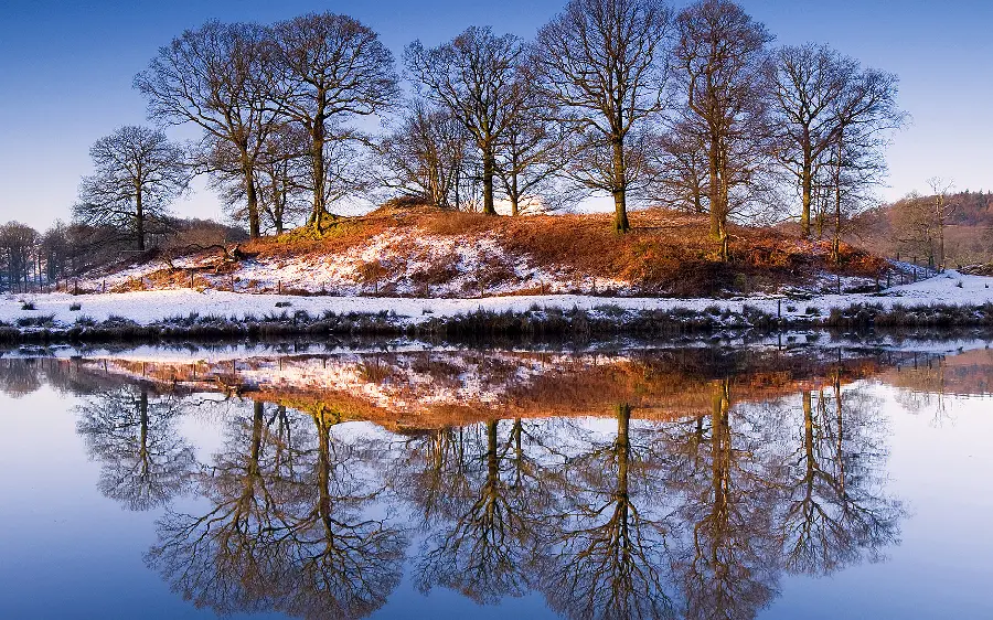 Winter photo of trees reflecting in a cold lake 