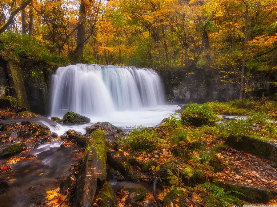 Download the photo of the amazing waterfall in the autumn forest with the best quality 