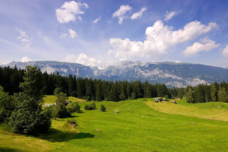 Unique and stylish and unique wallpaper for Windows desktop background