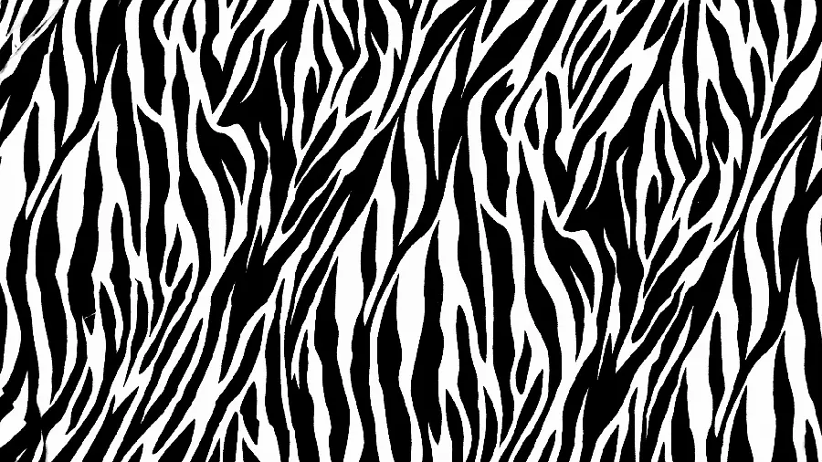 Wallpaper from the texture and pattern of zebra stripes for design and printing