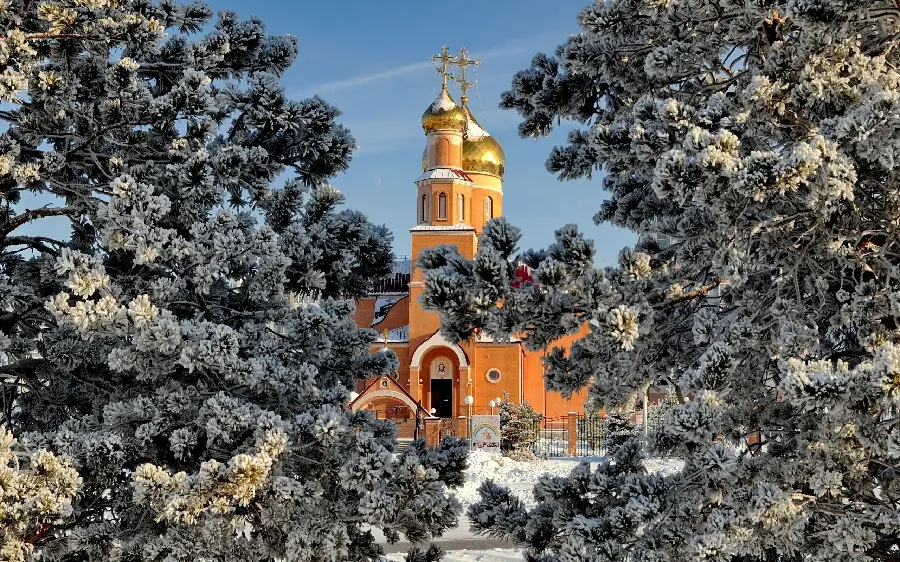 Download winter photo with leaves covered with snow and ice 