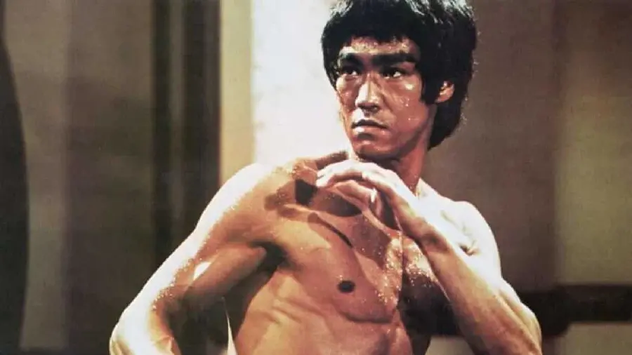 Free download of Bruce Lee image for fans of this character 