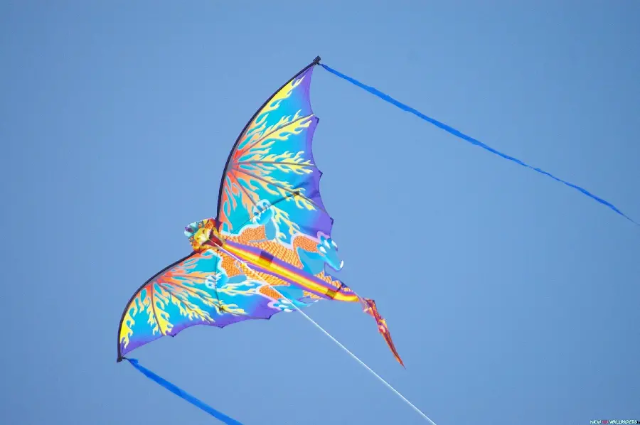Special and attractive wallpaper with colorful kite design 