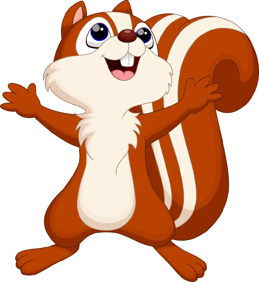 Cute squirrel PNG image with a white background 