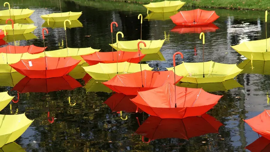 Image of red and yellow umbrellas on wet and rainy ground 
