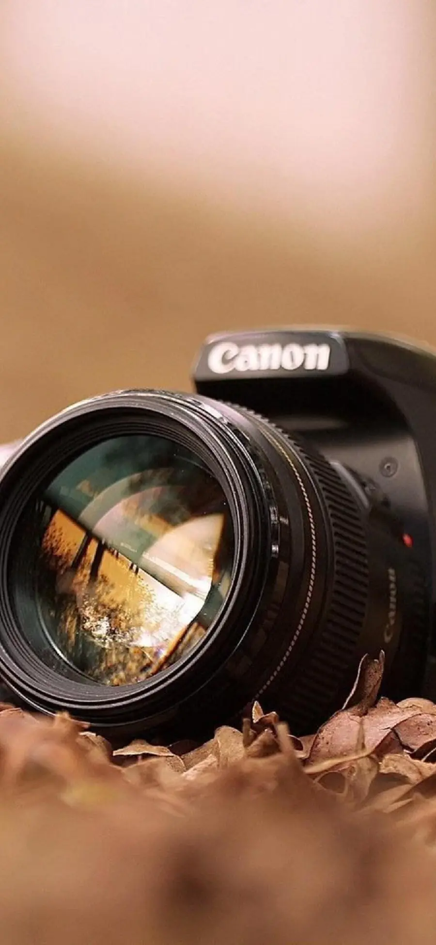 Canon professional mirrorless camera wallpaper suitable for filming and video content production