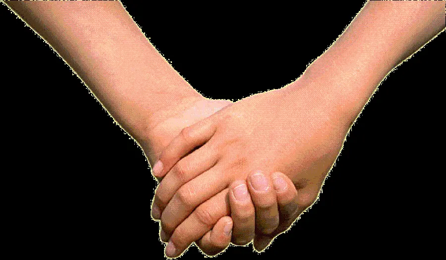 Download photo of hand in PNG format 